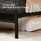 Z-HOM Bed Frame with LED Lights