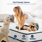 Z-HOM 8 Inch Hybrid Innerspring Mattress