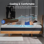 Z-HOM Classic 10" Euro Top Hybrid Mattress