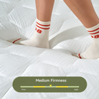 Z-HOM Hybrid Spring Mattress